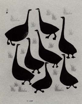 Canada Geese in Summer