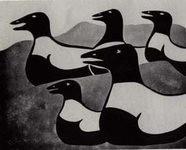 Birds in the Arctic Sea
