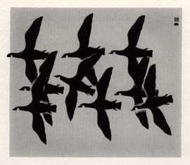 Flight of Birds