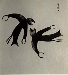 Two Hawks Fighting