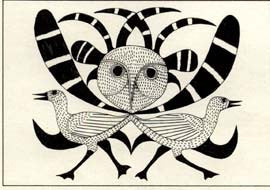 Bird Dream
