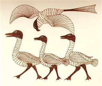 Geese with Hawk