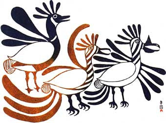 Bright Plumage
