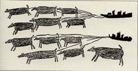 Dog Teams