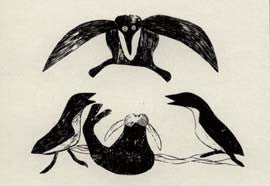 Owl Descending on Walrus