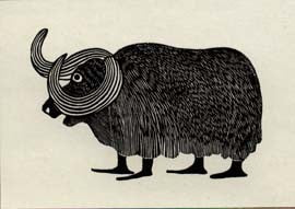 Musk Ox