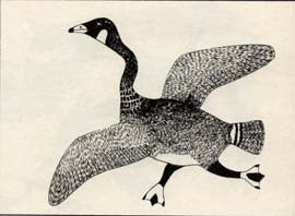 Goose