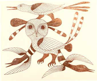 Birds of Night