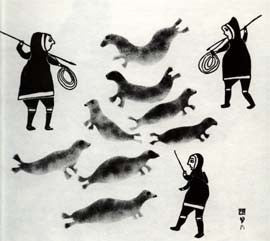Seal Hunt