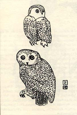 Alert Owls