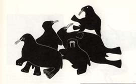Walrus at Play