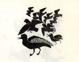 Shore Birds