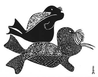 Seal and Walrus