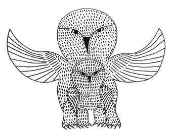 Owl and Young