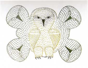 Owls