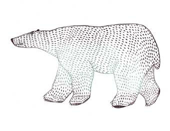 Polar Bear