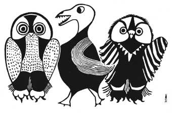 Three Birds