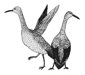 Levilevilaa