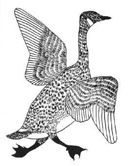 Running Goose