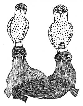 Owls and Walrus