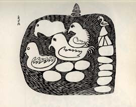 Ducks in a Pond