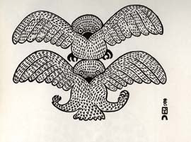 Two Owls