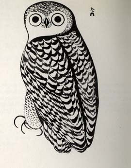Snowy Owl