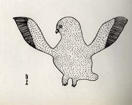 Snowy Owl