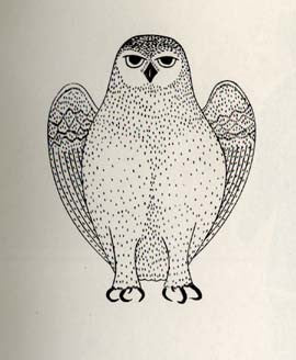 Owl