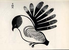 Sun Bird