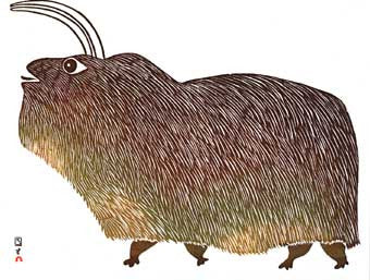 Umingmuk