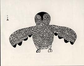 Evening Owl