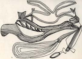 Birds & Hunting Items
