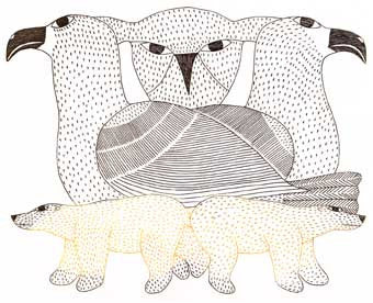 Gulls and Bears
