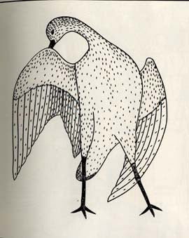 Shore Bird