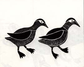 Twin Ducks