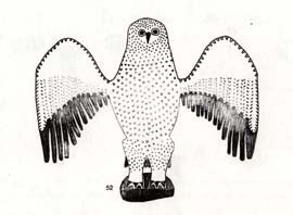 Arctic Owl