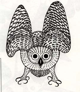 Summer Owl