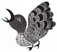 Bird of Sargo