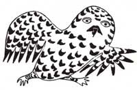 The Running Owl