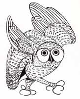 Summer Owl