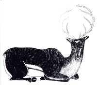 Summer Caribou