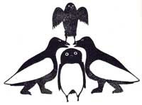 Nuvoojuak Birds