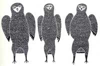Baby Owls