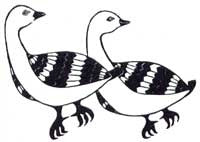 Blue Geese