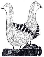 Ptarmigan