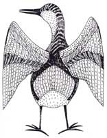 Kudlikulia