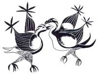 Fighting Birds