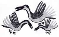 Talik Birds
