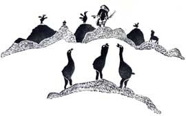 Moulting Geese